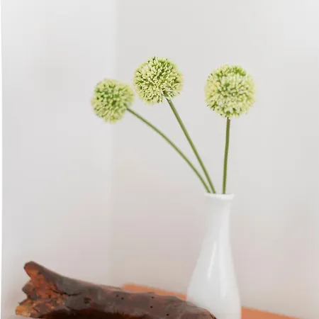 Torlanoholidayhome It - 4 Bedrooms In The Countryside - Sauna, Wine, Swim In The Creek Nimis